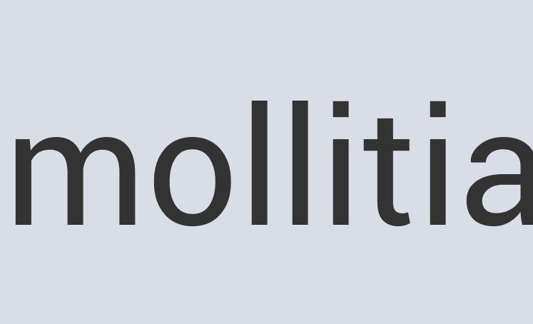 Mediocre Plastic Free Pass