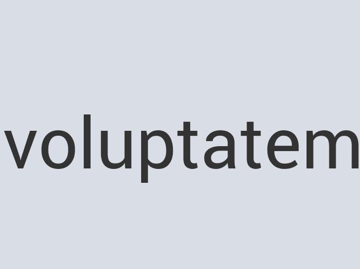 Heavy Duty Concrete Zestea