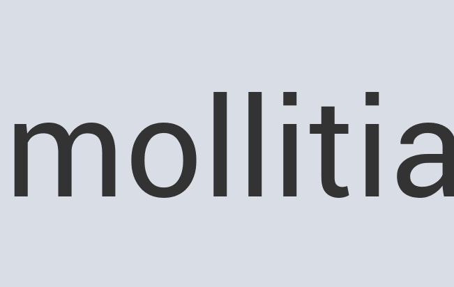 Heavy Duty Silk The Ass-tronaut