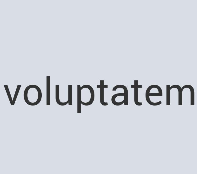 Enormous Wooden myFlip