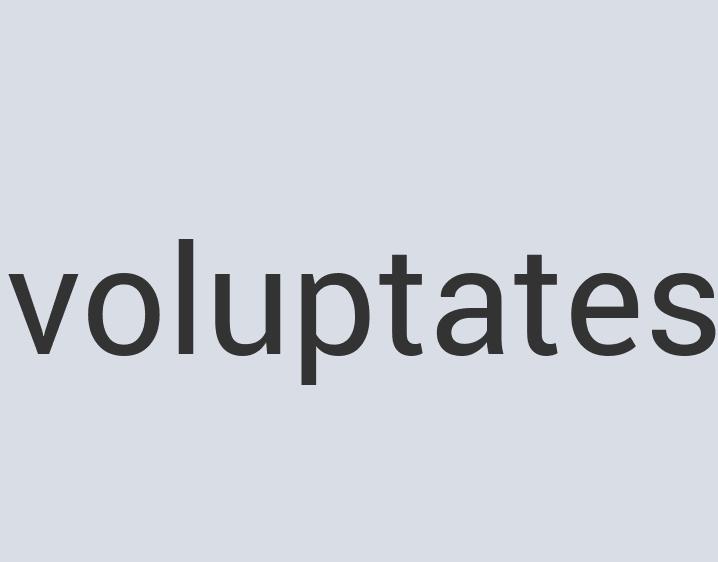 Ergonomic Leather The Tao of Fragrance